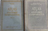Dr. V. Ghetie, Dr. E. Pastea, Dr. I. Riga - Atlas de anatomie comparativa, 2