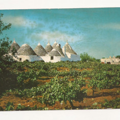 FA17 - Carte Postala- ITALIA - Martina Franca, Trulli di campagna, necirculata