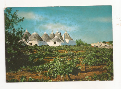 FA17 - Carte Postala- ITALIA - Martina Franca, Trulli di campagna, necirculata foto
