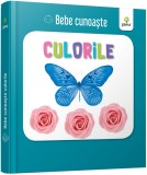 Bebe cunoaste culorile - Gama