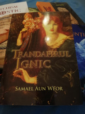 TRANDAFIRUL IGNIC DE SAMAEL AUN WEOR foto