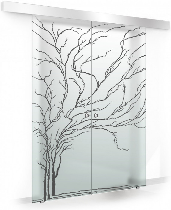 Usa culisanta Boss &reg; Duo model Tree negru, 60+60x215 cm, sticla mata securizata, glisanta in ambele directii