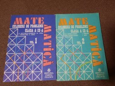 CULEGERE DE PROBLEME CLASA A IX A VOL 1 + 2 . TENA ,URSU ,BATINETU ,GIURGIU