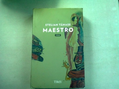 MAESTRO - STELIAN TANASE foto