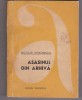 Bnk ant Nicolae Stefanescu - Asasinul din arhiva