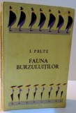 FAUNA BURZULUITILOR , *DEDICATIE* , 1965 de I. PELTZ