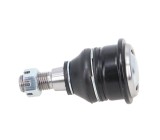 Pivot brat suspensie Infiniti I30; Nissan Maxima / Maxima Qx 4 (A32), Maxima / Maxima Qx 4 Station Wagon (A32), Fata, Stanga=Dreapta, SRLine