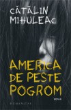 America de peste pogrom - Catalin Mihuleac - Humanitas