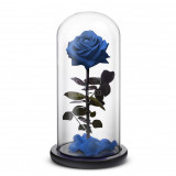 Cumpara ieftin Trandafir Criogenat premium albastru &Oslash;8cm in cupola 12x25cm