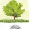 Branching Out: From Dreams to Reality