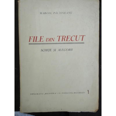 FILE DIN TRECUT - MARCEL PALTINEANU foto