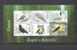 KOSOVO 2018 FAUNA PASARI