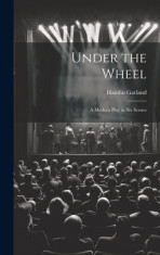 Under the Wheel: A Modern Play in Six Scenes foto