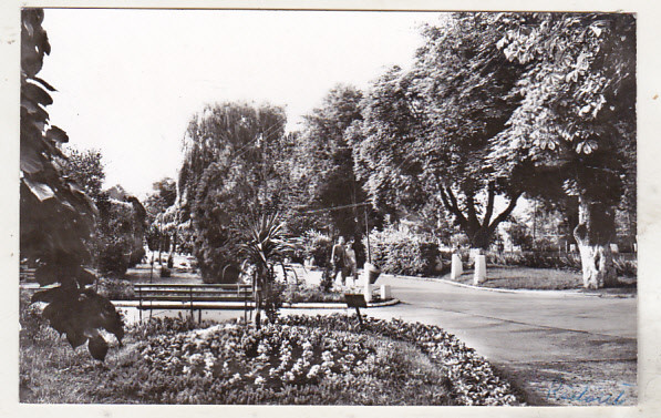 bnk cp Radauti - Vedere din parcul orasului - uzata