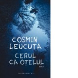 Cerul ca otelul - Cosmin Leucuta