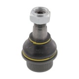 Curea de distributie RENAULT KANGOO Express (FC0/1) (1997 - 2007) RINGER 1141003158