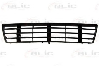 Grila ventilatie, bara protectie AUDI A6 (4B2, C5) (1997 - 2005) BLIC 6502-07-0014994P foto