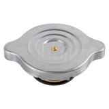 Febi Bilstein buson, vas expansiune