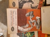 Un studiu &icirc;n roșu vintage