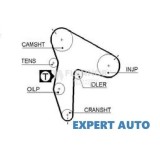 Curea distributie Hyundai H1 H-1 (2008-&gt;)[TQ]