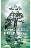 Tamaduirea interioara - Gabriel Socaciu