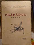 C.Calatorescu-Radomir Prapadul