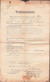 A3342N Certificat de absolvire a Facultății de Teologie din Viena acordat lui Romulus Mioc (viitor primar Petroșani, prefect județ Hunedoara), 1910