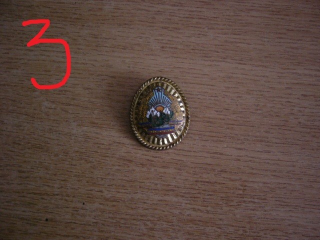 QW14 - Emblema militara / cuc - mica - uscat - comunism - piesa de colectie