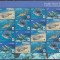 DB1 Fauna Marina WWF Penrhyn Broasca Testoasa MS MNH