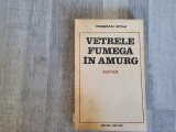 Vetrele fumega in amurg de Bogdan Stihi
