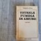 Vetrele fumega in amurg de Bogdan Stihi
