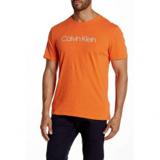 Tricou CALVIN KLEIN Logo Barbati foto