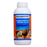 Rumdigestin Herba Plus Promedivet, 1L - Tratament veterinar: indigestie, acetonemie, cetoza, apetit, refacere flora ruminala