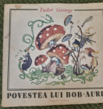 POVESTEA LUI BOB AURIU TUDOR GEORGE