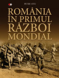 Rom&acirc;nia &icirc;n Primul Război Mondial - Hardcover - Petre Otu - Litera