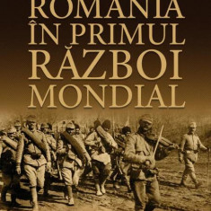 România în Primul Război Mondial - Hardcover - Petre Otu - Litera