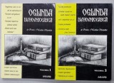 OGLINDA DUHOVNICEASCA de PROTOS . NICODIM MANDITA , VOLUMELE I - II , 2008