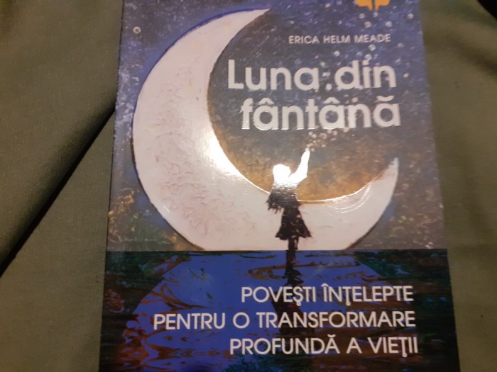 LUNA DIN FANTANA - EEICA HELM MEADE, ED NICULESCU,2020,416 PAG