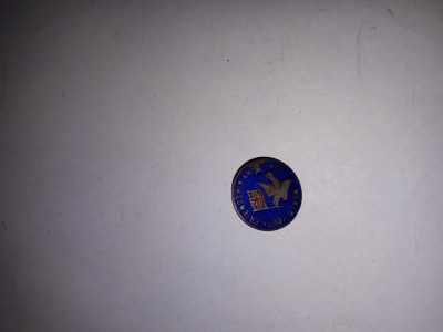 CY - Insigna veche Marea Britanie &amp;quot;World Youth Friendship and Peace&amp;quot; RARA foto