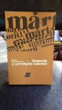 CHIPURILE SI PRIVELISTILE AMERICII - PETRU COMARNESCU