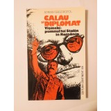 Adrian Grigoropol - Călău și diplomat: V&icirc;șinski - pumnul lui Stalin &icirc;n Rom&acirc;nia