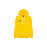 Graphic Shop Hooded Sweats, Champion