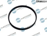 Etan?Are, Carcas&iuml;&iquest;&frac12; Clapet&iuml;&iquest;&frac12; 244092 DRM0331