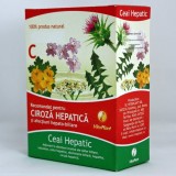 HEPATIC CEAI 100GR, Vitaplant