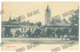 2569 - BAIA MARE, Market, Litho, Romania - old postcard - unused