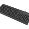 Tastatură neagră USB A NATEC, US layout, cablu 1,5m, 104 butoane, ergonomic