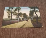 Carte Poștală Veche &ndash; Landstra&szlig;e vor Vahrendorf, Germania
