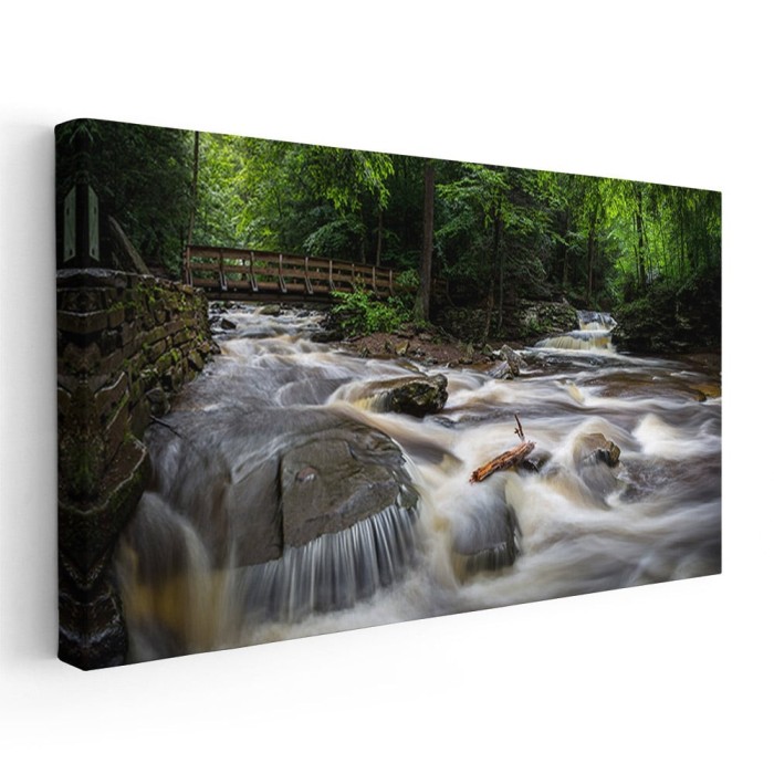 Tablou peisaj cu rau in padure Tablou canvas pe panza CU RAMA 70x140 cm