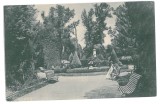 267 - TARGU-JIU, GORJ, public garden, Romania - old postcard - unused, Necirculata, Printata