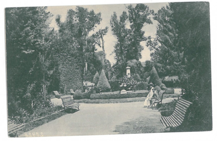 267 - TARGU-JIU, GORJ, public garden, Romania - old postcard - unused